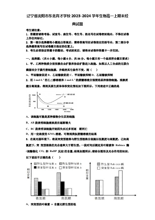 辽宁省沈阳市东北育才学校2023-2024学年生物高一上期末经典试题含解析