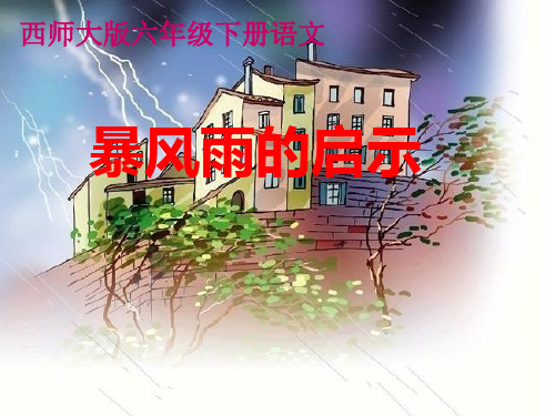 西南师大版六年级语文下册《五单元  17 暴风雨的启示》课件_23