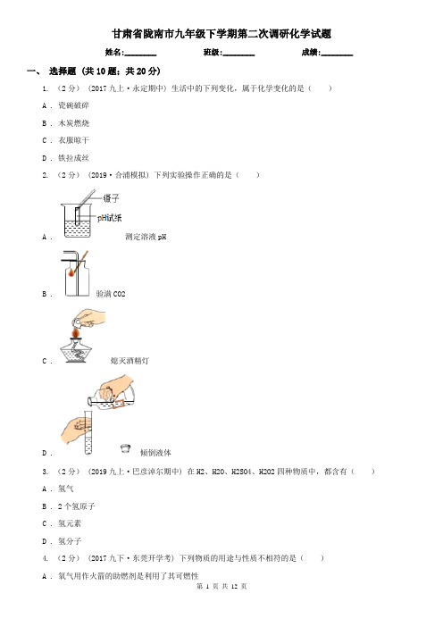 甘肃省陇南市九年级下学期第二次调研化学试题