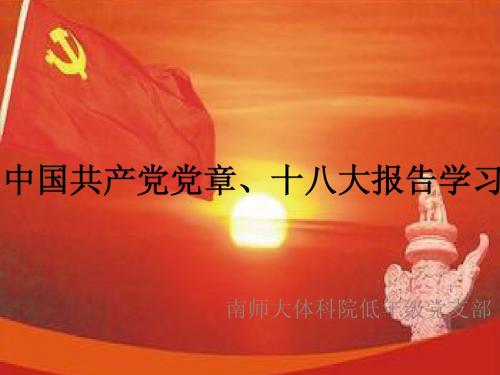 新党章以及十八大报告学习