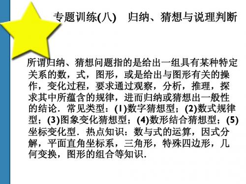 2011中考数学全套复习课件(共52)专题8