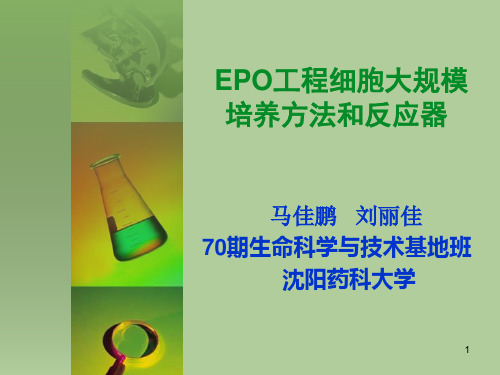 EPO工程细胞培养方法和反应器