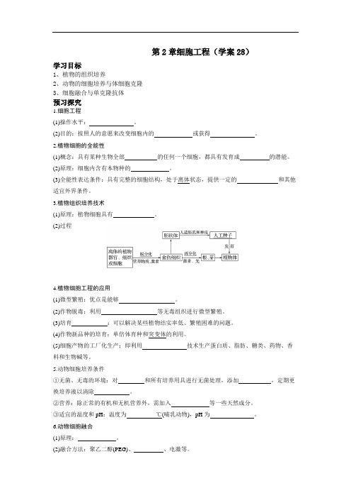 人教版高中生物选修3学案： 第2章细胞工程(学案28)