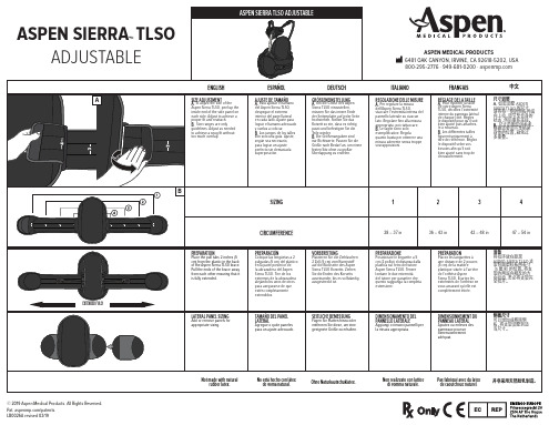 Aspen Sierra TLSO 调节器说明书