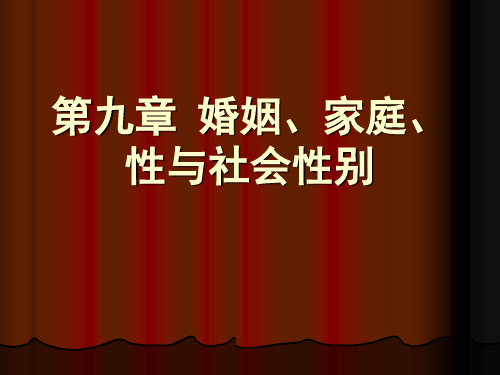 婚姻、家庭与社会2