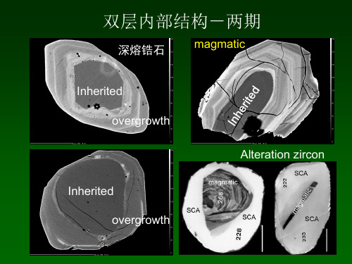 锆石U-Pb定年2资料