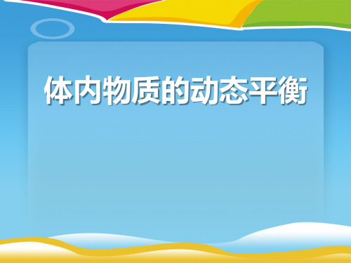 《体内物质的动态平衡》PPT课件