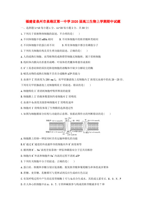 福建省泉州市泉港区第一中学2020届高三生物上学期期中试题