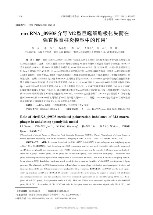 circRNA_09505介导M2型巨噬细胞极化失衡在强直性脊柱炎模型中的作用