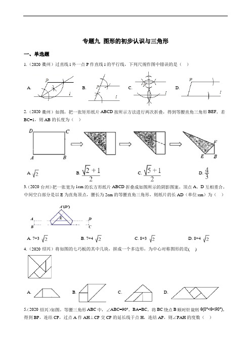 备战2021年中考训练专题九 图形的初步认识与三角形