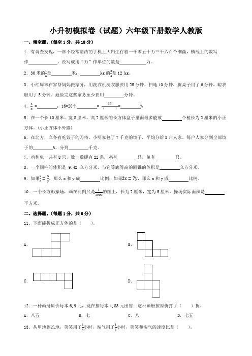 小升初模拟卷(试题) 六年级下册数学人教版(含答案)