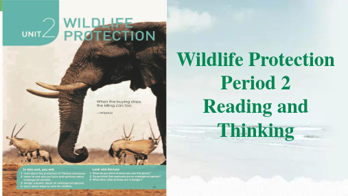 人教版高中英语2019新教材必修二Unit 2   Wildlife protection课文翻译