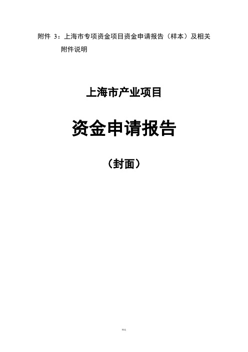 政府项目申报书样例模板