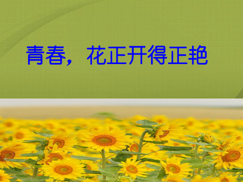 主题班会-青春期主题班会