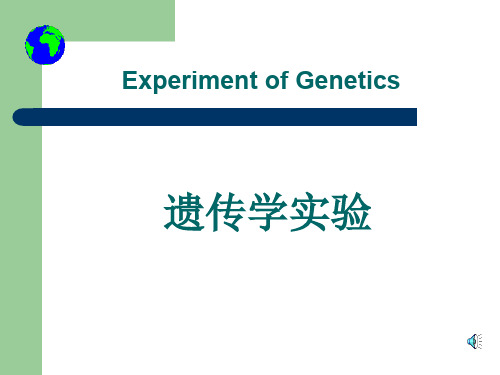 减数分裂原理与技术