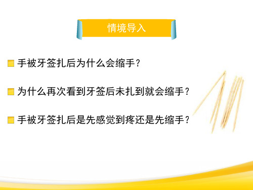 人教版生物七年级下册 第六章第三节神经调节的基本方式  课件(共22张PPT)