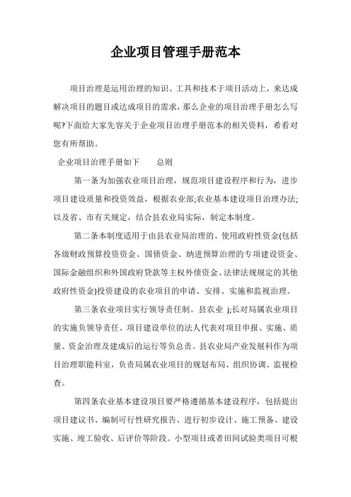 企业项目管理手册范本
