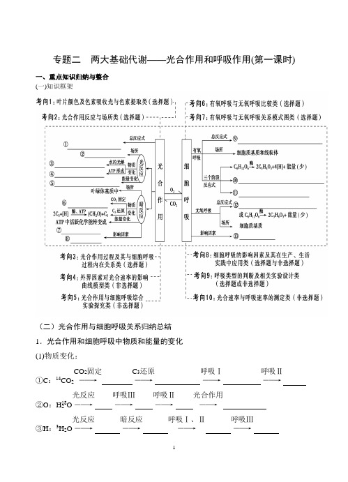 专题二 光合作用与呼吸作用学案