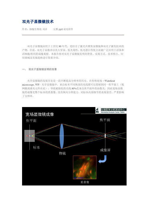 双光子显微镜技术