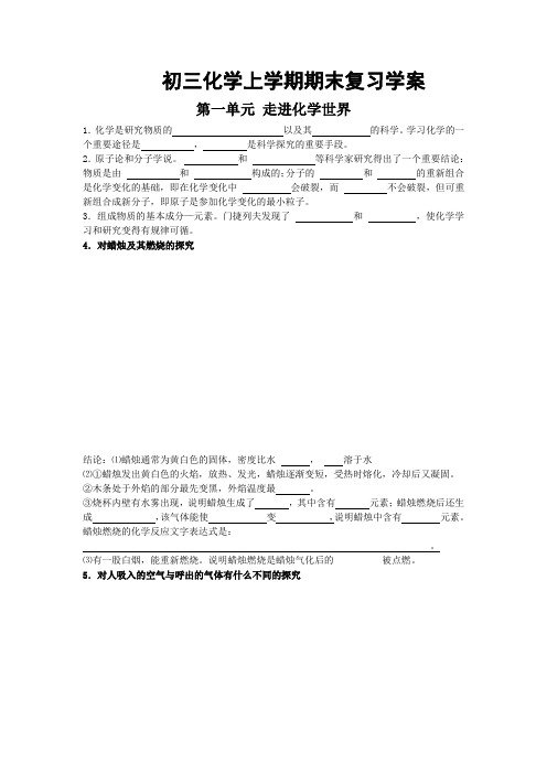 初三化学上学期期末复习学案