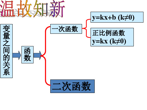 人教版初三数学上册22.1 二次函数(第1课时)课件