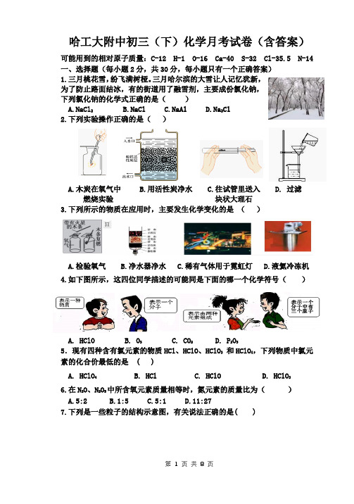 2021哈尔滨市工大附中初三(下)化学月考试卷(含答案)