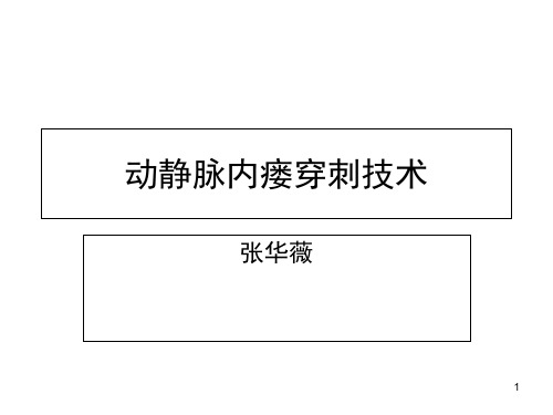 动静脉内瘘穿刺方法PPT演示幻灯片