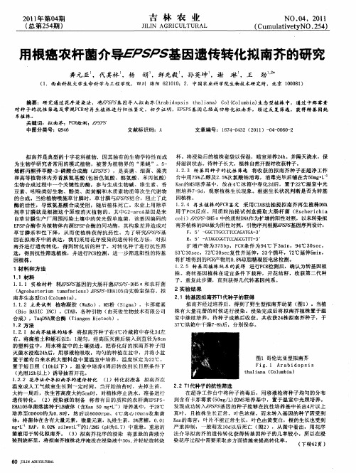 用根癌农杆菌介导EPSPS基因遗传转化拟南芥的研究
