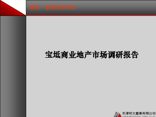 宝坻商业地产市场调研报告PPT