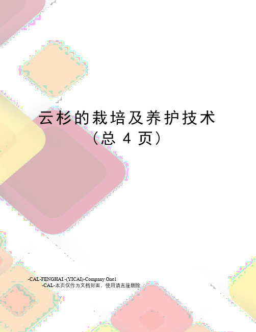 云杉的栽培及养护技术