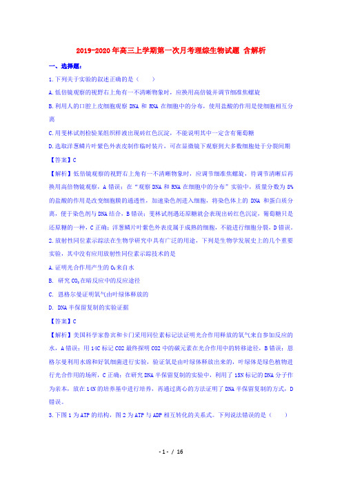 2019-2020年高三上学期第一次月考理综生物试题 含解析
