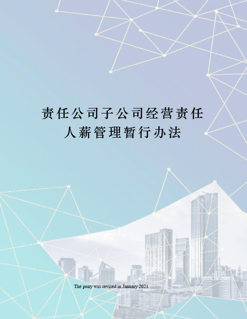 责任公司子公司经营责任人薪管理暂行办法