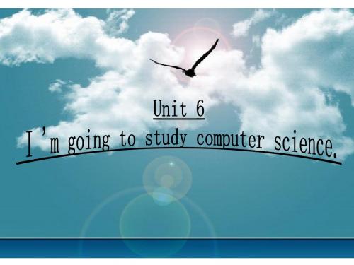 2013新版新目标八年级英语上册Unit6 I’m going to study computer science