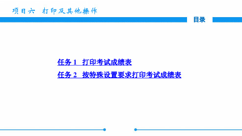 电子课件-《中文版Excel 2017基础与实训》-A06-3806 项目六 打印及其他操作