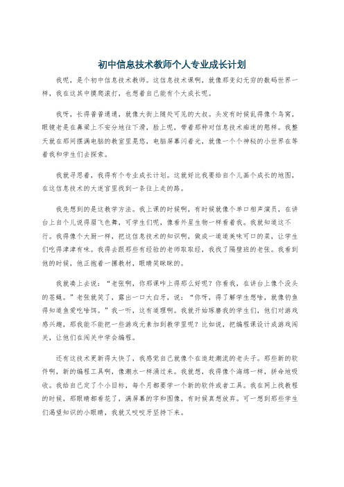 初中信息技术教师个人专业成长计划