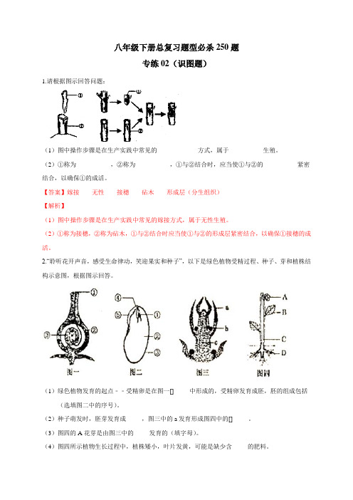 专练02(识图题)-2019-2020学年八年级生物下册题型必杀250题(人教版)(解析版)