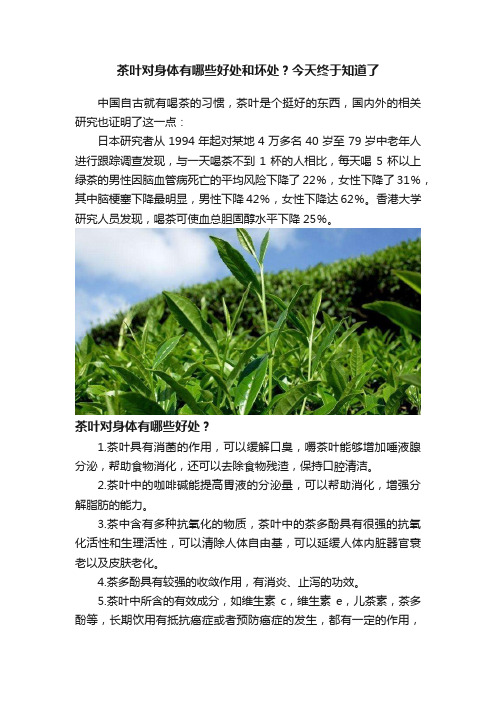 茶叶对身体有哪些好处和坏处？今天终于知道了