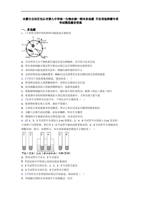 内蒙古自治区包头市第九中学高一生物必修一期末多选题 不定项选择题专项考试模拟题含答案