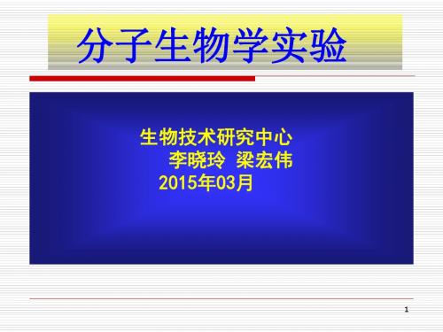 通过对LB培养基的配制