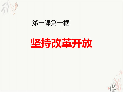 坚持改革开放踏上强国之路课件ppt