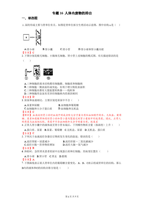 专题16 人体内废物的排出-2024年中考《生物》冲刺复习全考点通关(解析版)