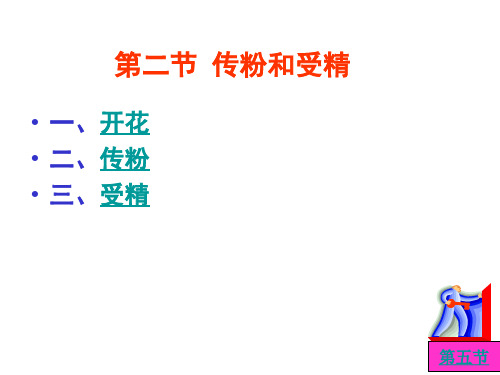 【初中生物】传粉和受精ppt3