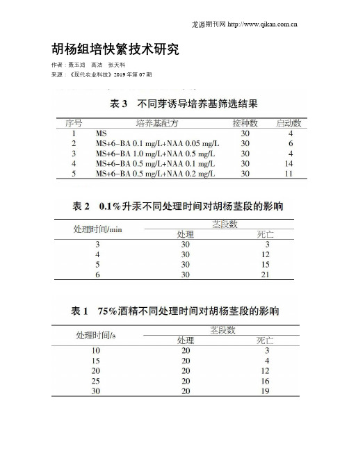 胡杨组培快繁技术研究