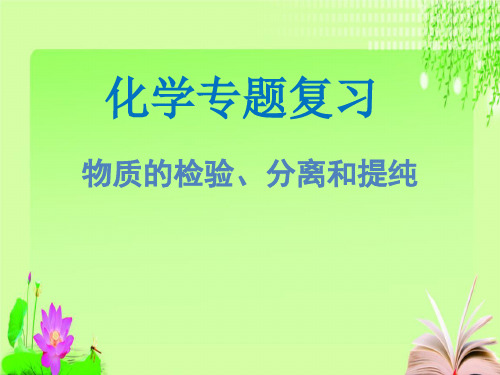 最新中考二轮专项复习 物质的检验、分离和提纯 (共14张PPT)教育课件