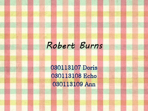 Robert Burns简介