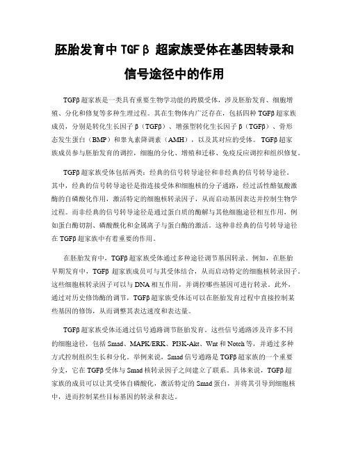 胚胎发育中TGFβ超家族受体在基因转录和信号途径中的作用