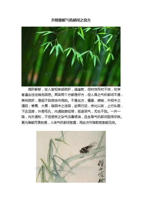 升降散解气机郁闭之良方