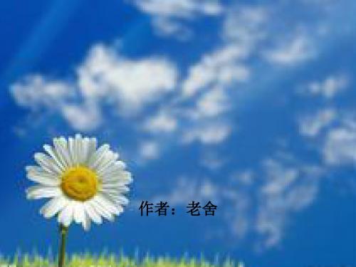六年级下册语文课件3.7《养花》语文a版 (共13张ppt)