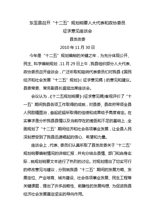 “十二五”规划纲要人大代表和政协委员座谈会