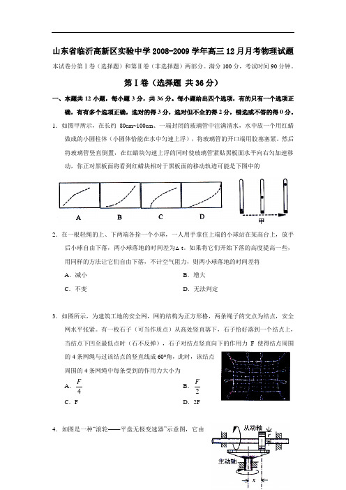 山东省临沂高新区实验中学2008-2009学年高三物理12月月考试题